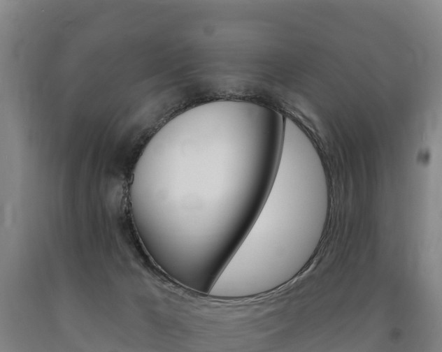 X0000090930029200707301124