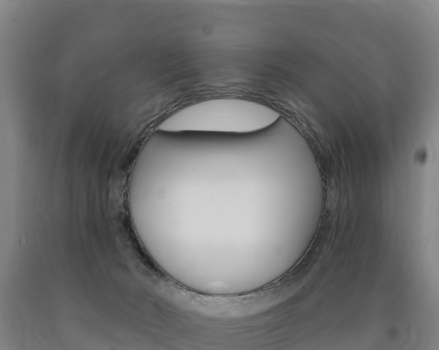 X0000090930030200707301124
