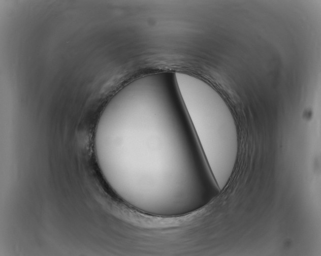 X0000090930031200707301124