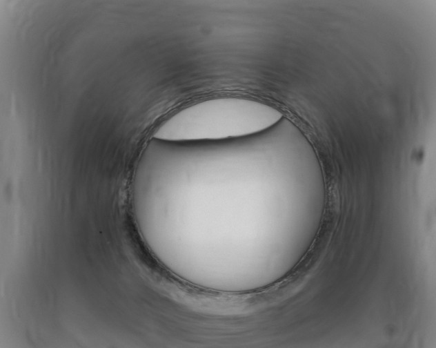 X0000090930032200707301124