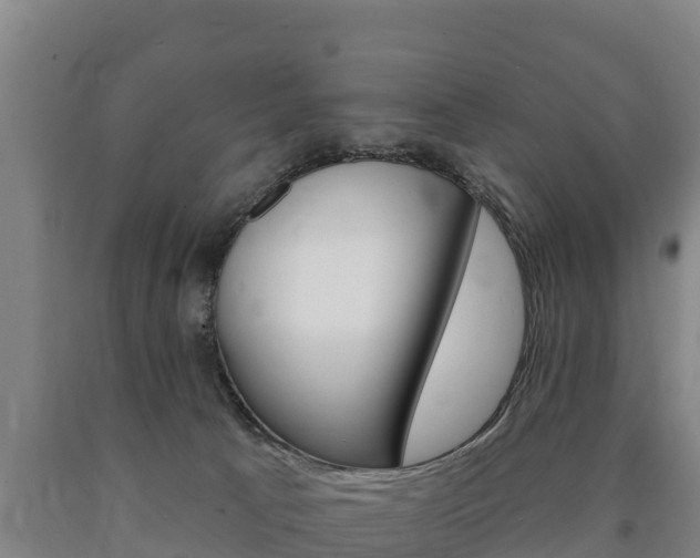 X0000090930033200707301124