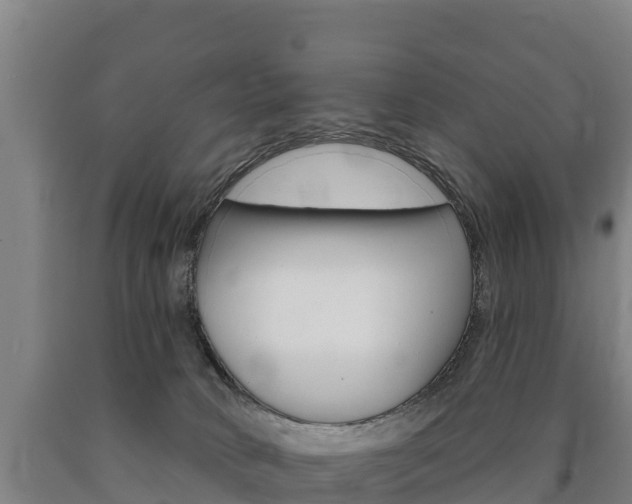 X0000090930034200707301124