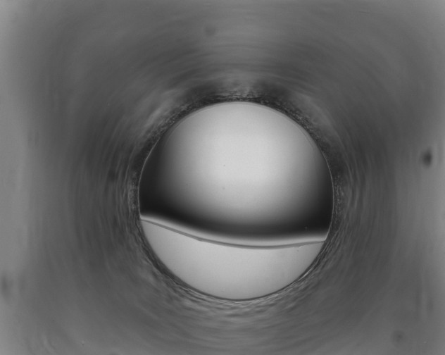 X0000090930035200707301124