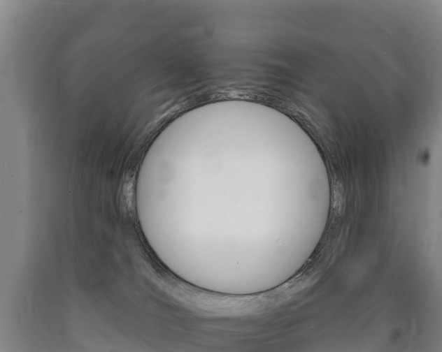 X0000090930036200707301124