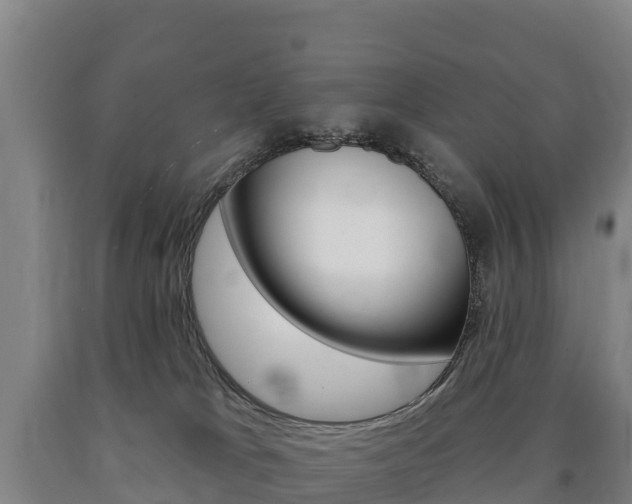 X0000090930037200707301124