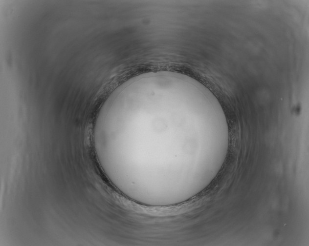X0000090930038200707301124