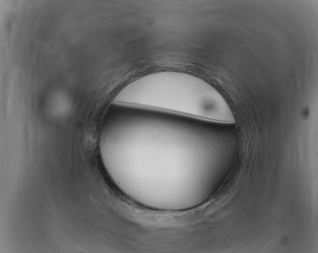 X0000090930040200707301124