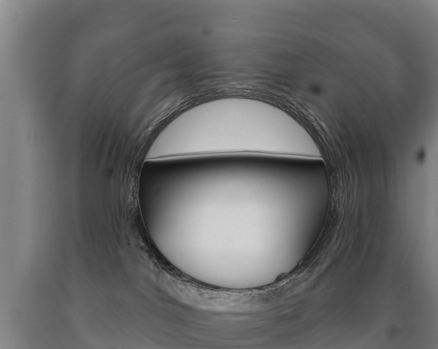 X0000090930044200707301124