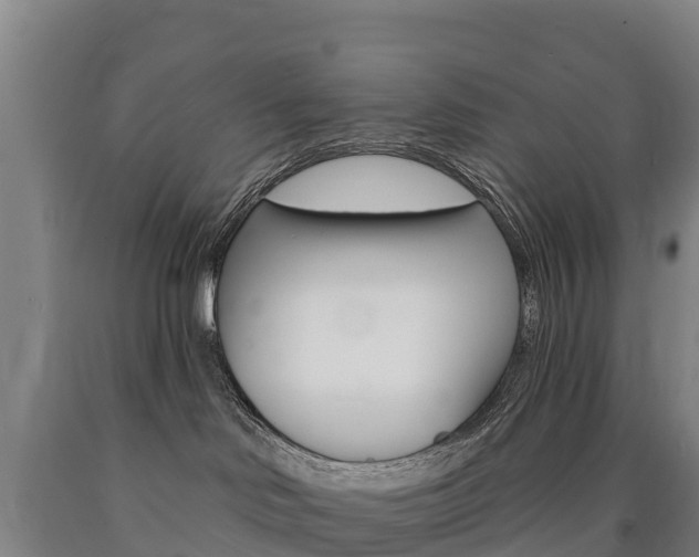 X0000090930046200707301124