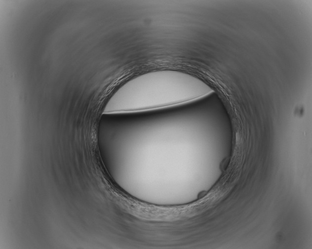 X0000090930048200707301124