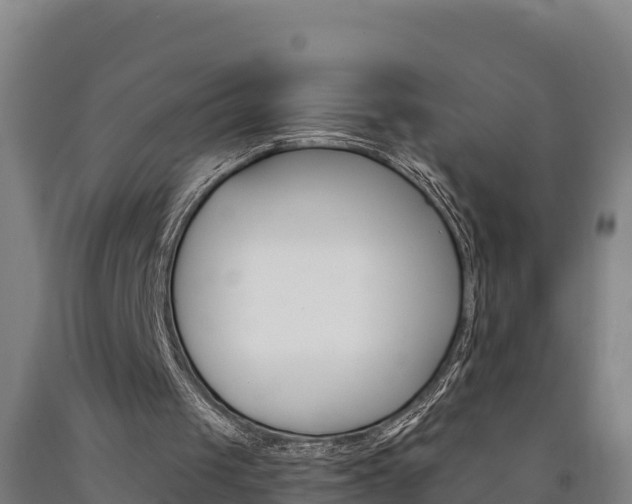 X0000090930049200707301123