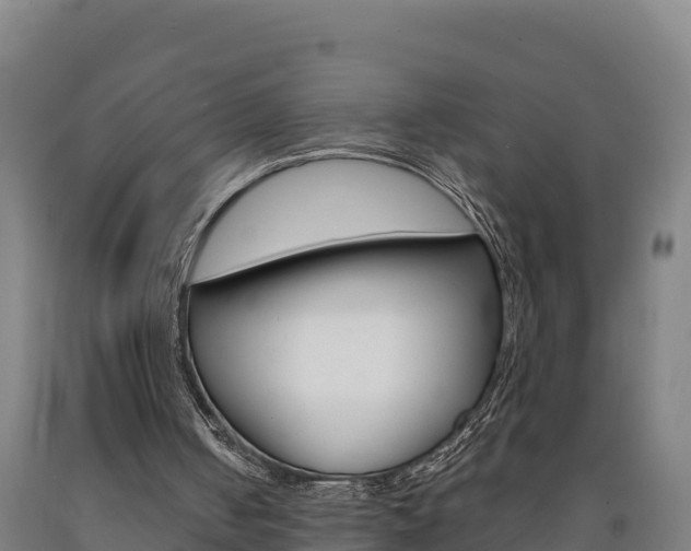 X0000090930050200707301123