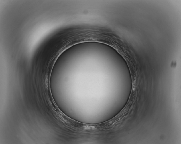 X0000090930052200707301123