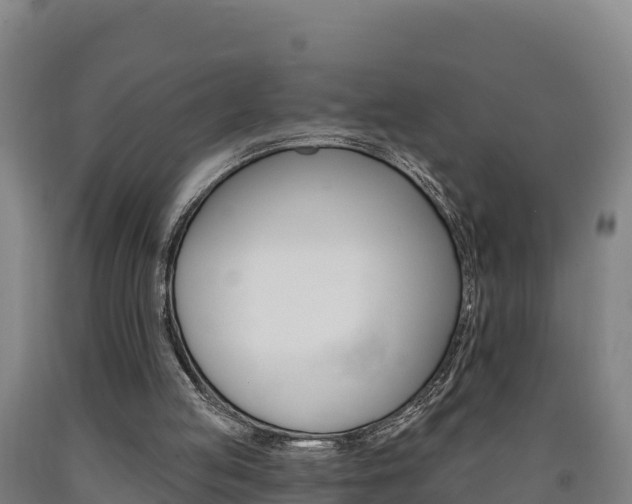 X0000090930053200707301123