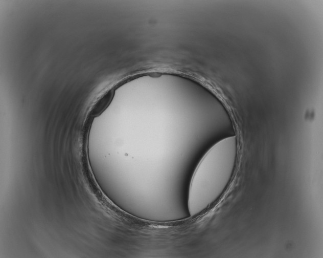 X0000090930055200707301123