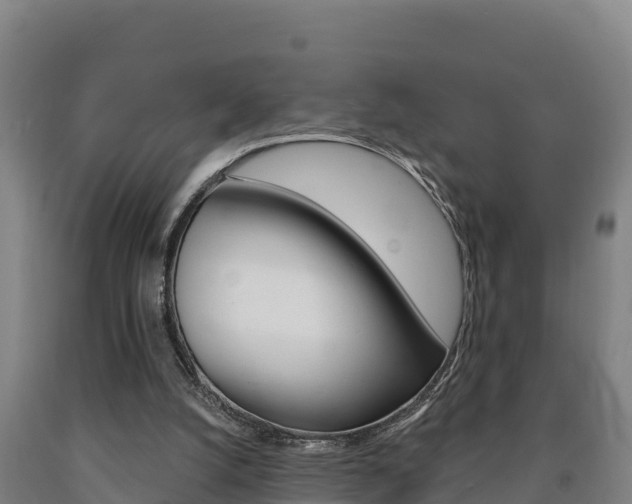 X0000090930056200707301123