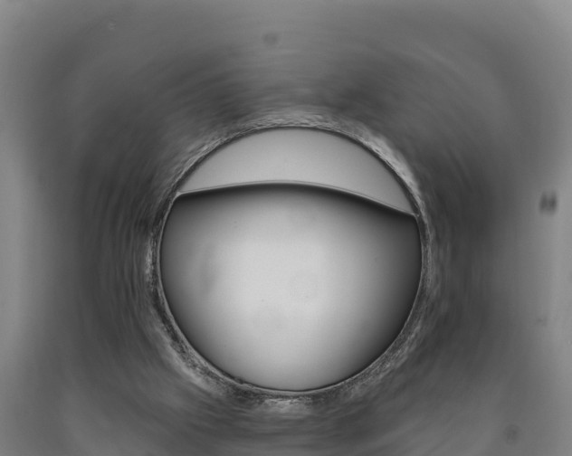 X0000090930057200707301123