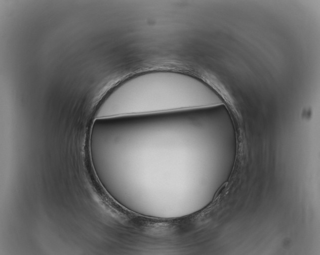X0000090930058200707301123