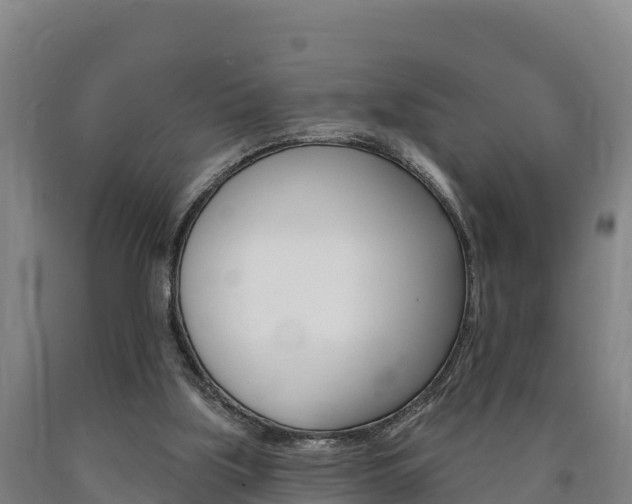 X0000090930059200707301123
