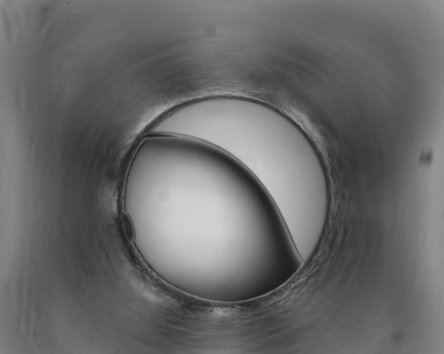 X0000090930060200707301123