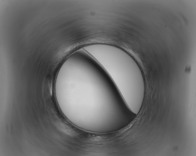 X0000090930062200707301123