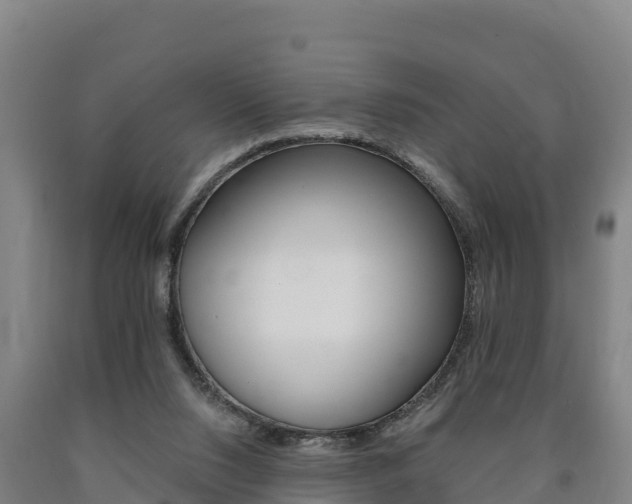 X0000090930064200707301123