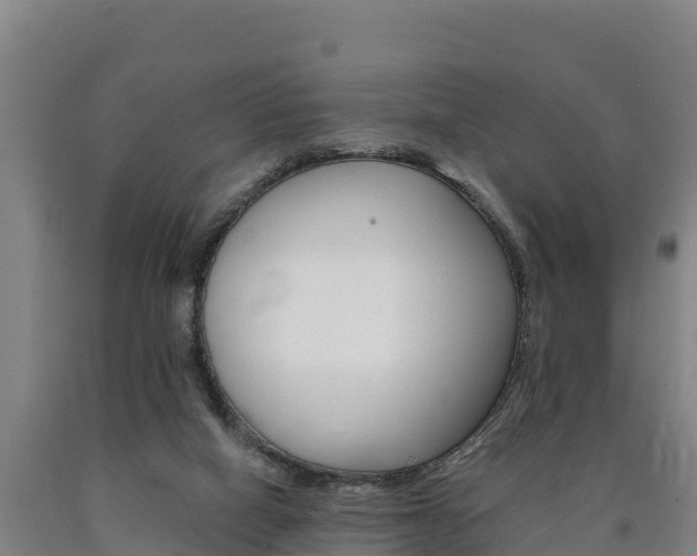 X0000090930066200707301123