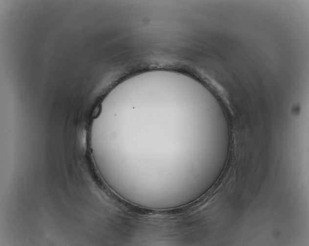 X0000090930067200707301123