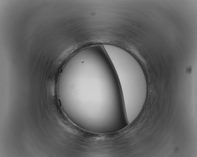 X0000090930068200707301123