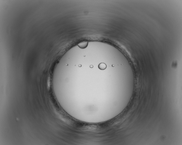 X0000090930069200707301123