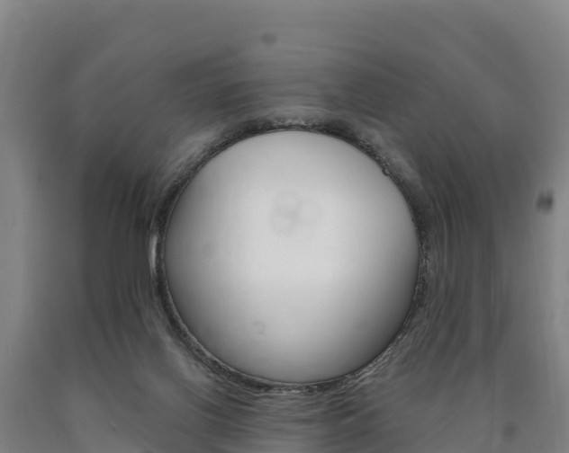 X0000090930070200707301123