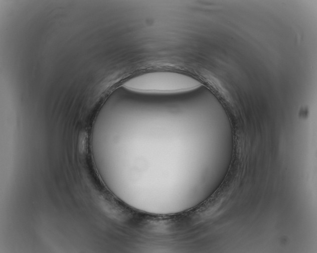 X0000090930071200707301123