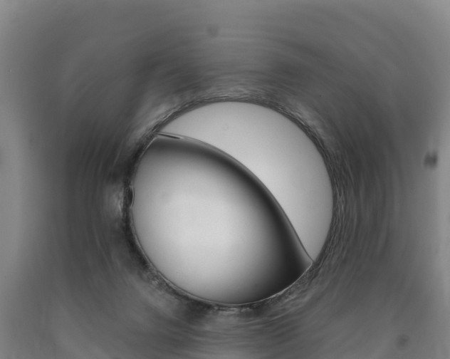 X0000090930072200707301123