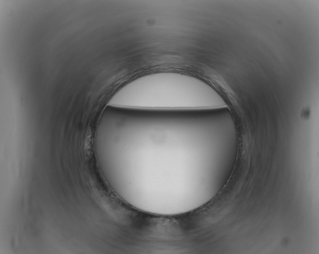 X0000090930073200707301124