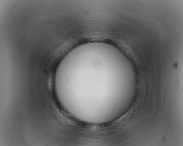 X0000090930074200707301124