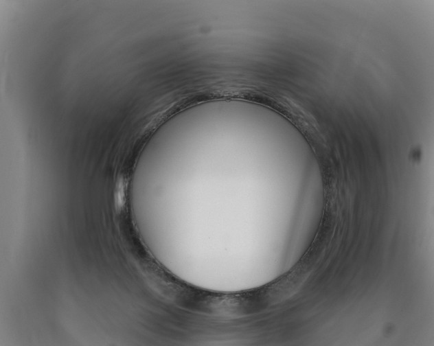 X0000090930075200707301124