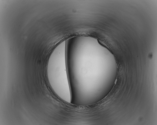 X0000090930076200707301124