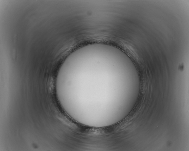 X0000090930077200707301124