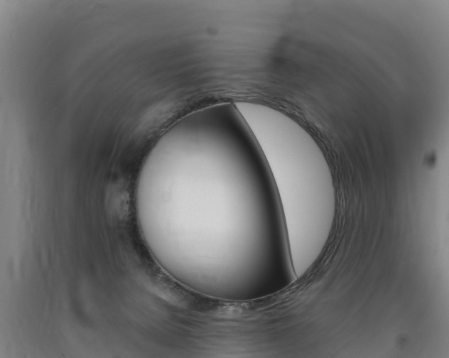 X0000090930080200707301124
