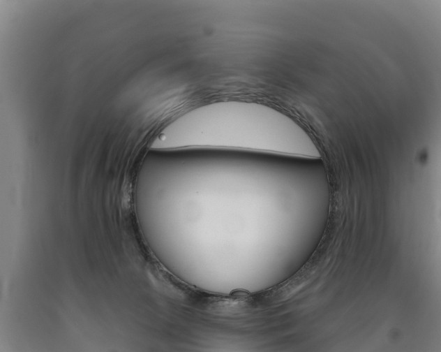 X0000090930081200707301124