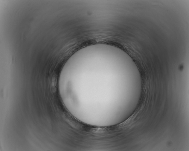 X0000090930082200707301124