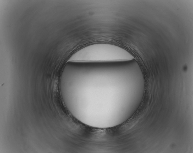 X0000090930083200707301124