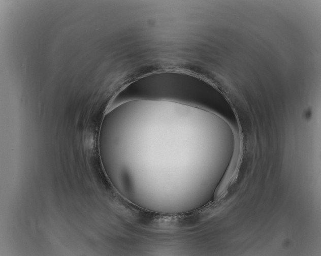 X0000090930084200707301124