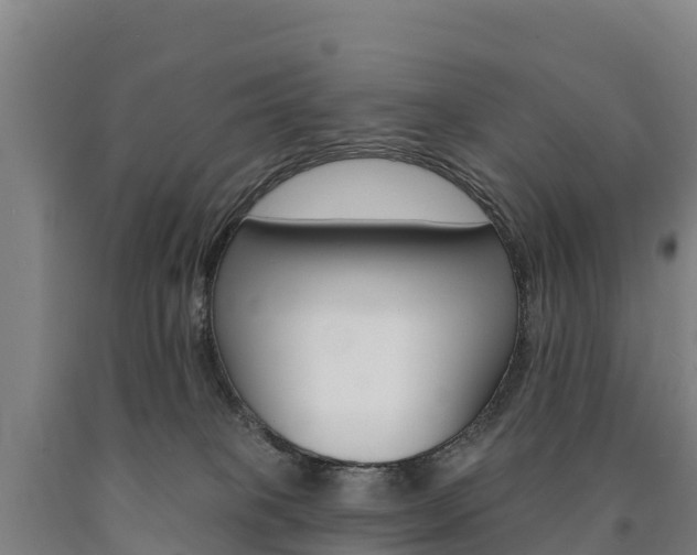 X0000090930085200707301124