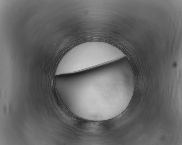 X0000090930086200707301124