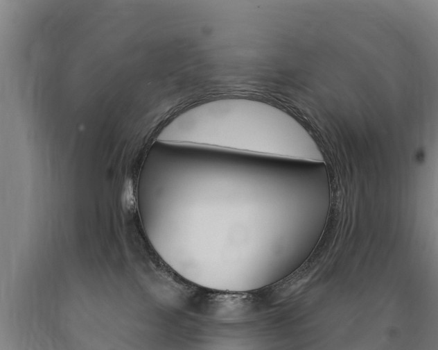 X0000090930089200707301124
