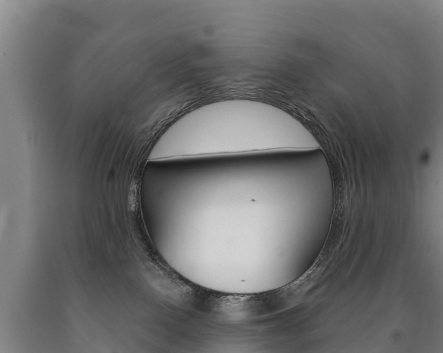 X0000090930090200707301124