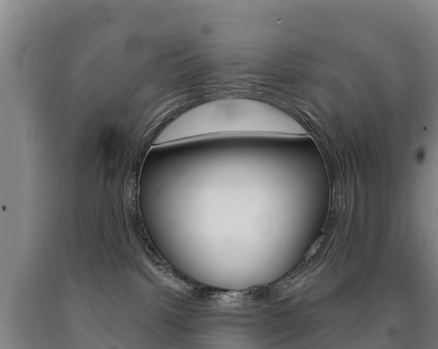 X0000090930092200707301124