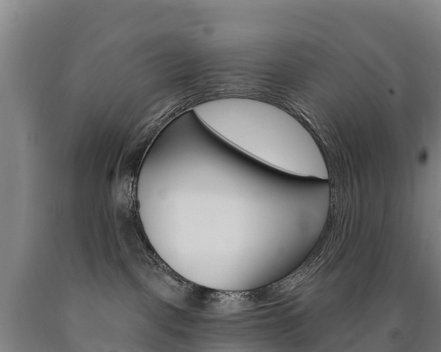 X0000090930093200707301124
