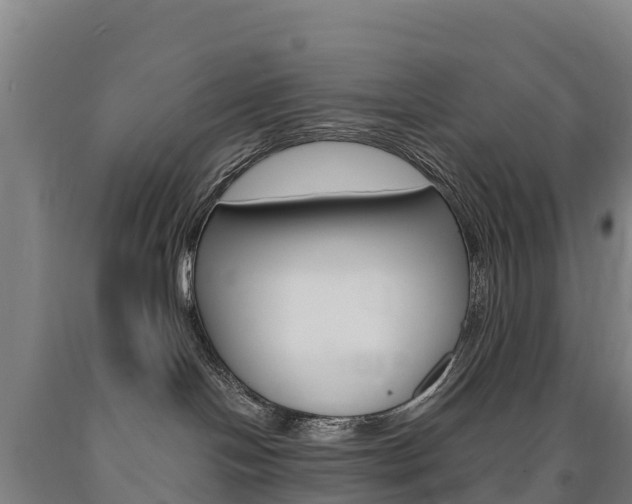 X0000090930094200707301124